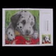 thumbnail image 5 of Kits de ganchos de gancho de cojín para animales Macarena Kits de fabricación de alfombras de cojines, 5 of 7