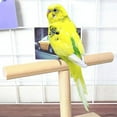 thumbnail image 4 of HEVIRGO Portable Wood Bird Parrot Training Spin Perch Stand Playground Platform Toy,Wood Color, 4 of 9