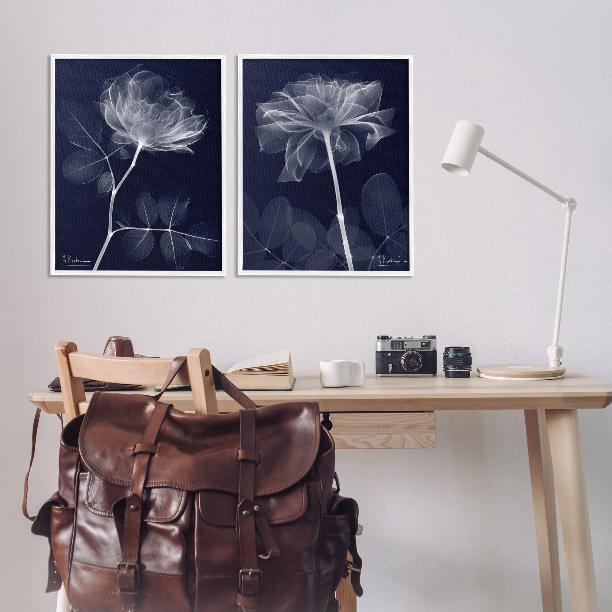 Stupell Industries X-Ray Blossom on Black Botanical & Floral Photography White Framed Art Print Wall Art, 24 x 30, Set of 2