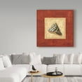 thumbnail image 3 of Trademark Fine Art 'Red Frame Shell II' Canvas Art by Lisa Audit, 3 of 3