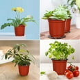 thumbnail image 6 of Manunclaims 50 Packs 4 Inches Plastic Plant Nursery Pots with Drainage Holes, Reusable Plastic Pots Seed Starting Pot Flower Plant Container for Succulents, Seedlings, Cuttings, Transplanting, 6 of 8
