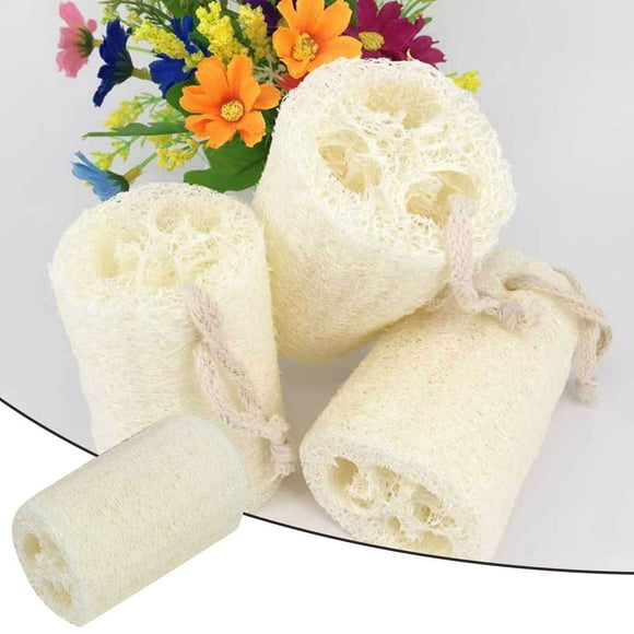 3Pcs Natural Loofah Exfoliating Body Sponge Scrubber For Skin Care In Bath Spa Shower Natural Stone Toilet Brush with Soap in Handle Dishwasher Soap Dish Stove Polish Leather Scratch Remover Scrub