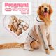 thumbnail image 2 of Chubasqueros para perros, chubasquero impermeable, ropa de lluvia ligera ajustable para mascotas, poncho con capucha para perros grandes(XL), 2 of 5