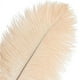 thumbnail image 3 of Xiao Hua 12 plumas de avestruz color champán, naturales, a granel, de 40 a 45 cm, para centros de mesa de bodas, fiestas, Pascuas, Gatsby y decoración del hogar., 3 of 5