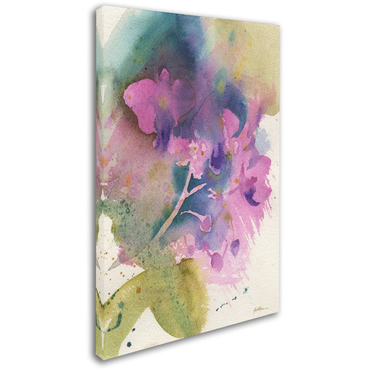 Trademark Fine Art "Orchid Dream" Canvas Art by Sheila Golden