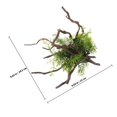 thumbnail image 4 of unbranded De Artificiales Resistentes Para Acuario Con Detalles Vivos Y Natural, 4 of 5