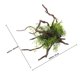 thumbnail image 2 of unbranded Accesorios Para De Peces Con De Planta Resinada Resistente Multicolor, 2 of 5