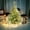 Red, variant on 2ft Mini Christmas Tree with Lights, Tabletop Christmas Tree with LED Lights for Indoor Christmas Decorations Holiday Party Ornagment, Christmas Centerpieces for Tables(Red)