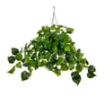 thumbnail image 2 of Nearly Natural Pre-Lit Philodendron Artificial Plant - 24" - Warm White LED Lights, 2 of 8