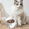 thumbnail image 4 of Elevated Cat Food & Water Bowl, Cute Cat-Shaped Pet Bowl with Neck Protection, 250ml Capacity Plastic Bowl for Cats, 4 of 6