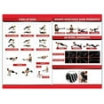 thumbnail image 2 of Ab Roller Wheel 17 In 1, Ab Wheel Workout Equipment Kit with Resistance Bands, Knee Mat, Jump Rope, Push-Up Bar, Ab Wheel Roller for Gym and Home Workout Unisex Abdominal Wheel for Core Strength Black, 2 of 5