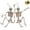 2, variant on Joyfy 5 Pcs Halloween Skeleton Decorations,16 inch Full Body Poseable Skeleton with Movable Joints for Halloween Indoor Outdoor Party,Graveyard,Haunted House Accessories,White