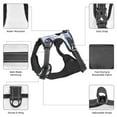 thumbnail image 3 of Naloa Butterflies Pet Harness Vest with Traction Rope, Adjustable No-Choke Dog Vest for Outdoor, Walking - Small, 3 of 4