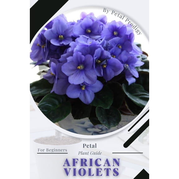 African Violets: Prodigy Petal, Plant Guide (Paperback)