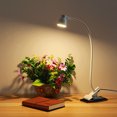 thumbnail image 2 of OULII Clip Desk Lamp LED Clamp Design White Metal for General Users 1Set, 2 of 7