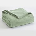 thumbnail image 1 of Vellux Microfleece Blanket Full/Queen Desert Sage, 1 of 6