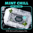 thumbnail image 2 of Toallitas húmedas Dude Mint Chill desechables XL 48 unidades, 2 of 5
