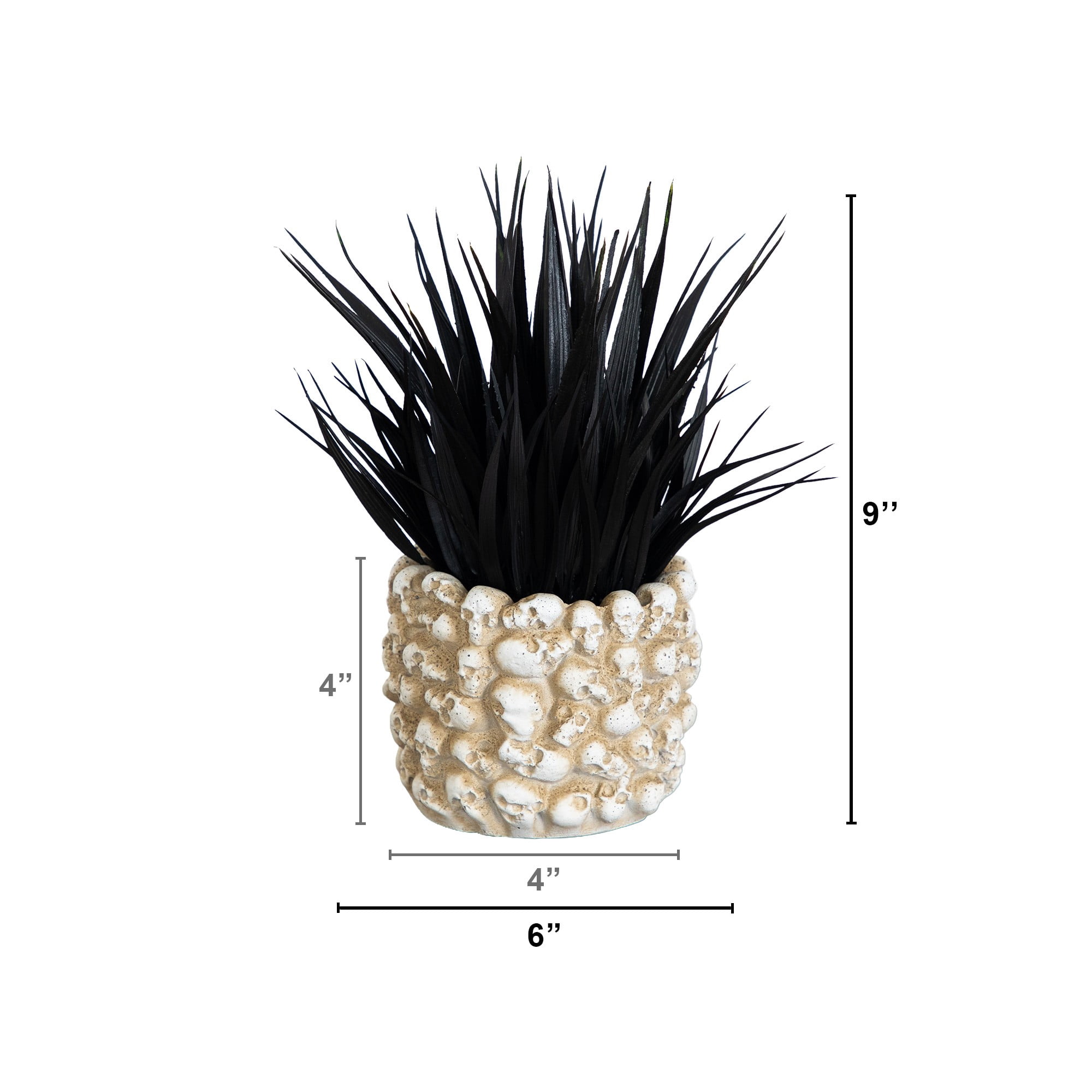 9in. Artificial Halloween Black Succulent Plant in Gothic Skull Planter