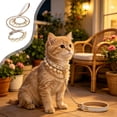 thumbnail image 1 of Strong Cord Dog Leash Heavy Duty Walking Training Lead Anti Pull Durable Control Grip Lightweight Easy Clean Outdoor Walking Leash for Small Medium Dogs Cats Daily Training Walks, 1 of 6