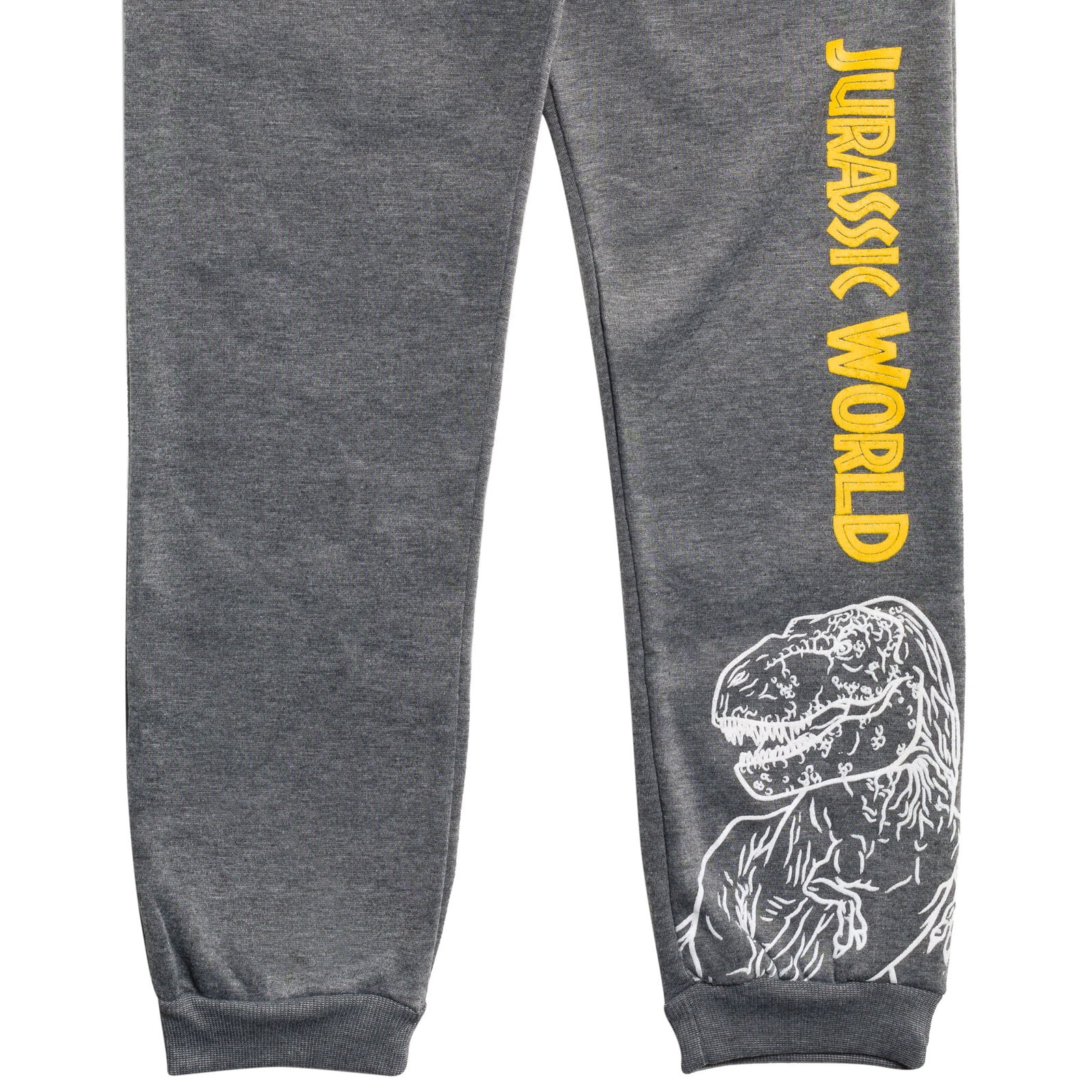 T rex sweatpants sale