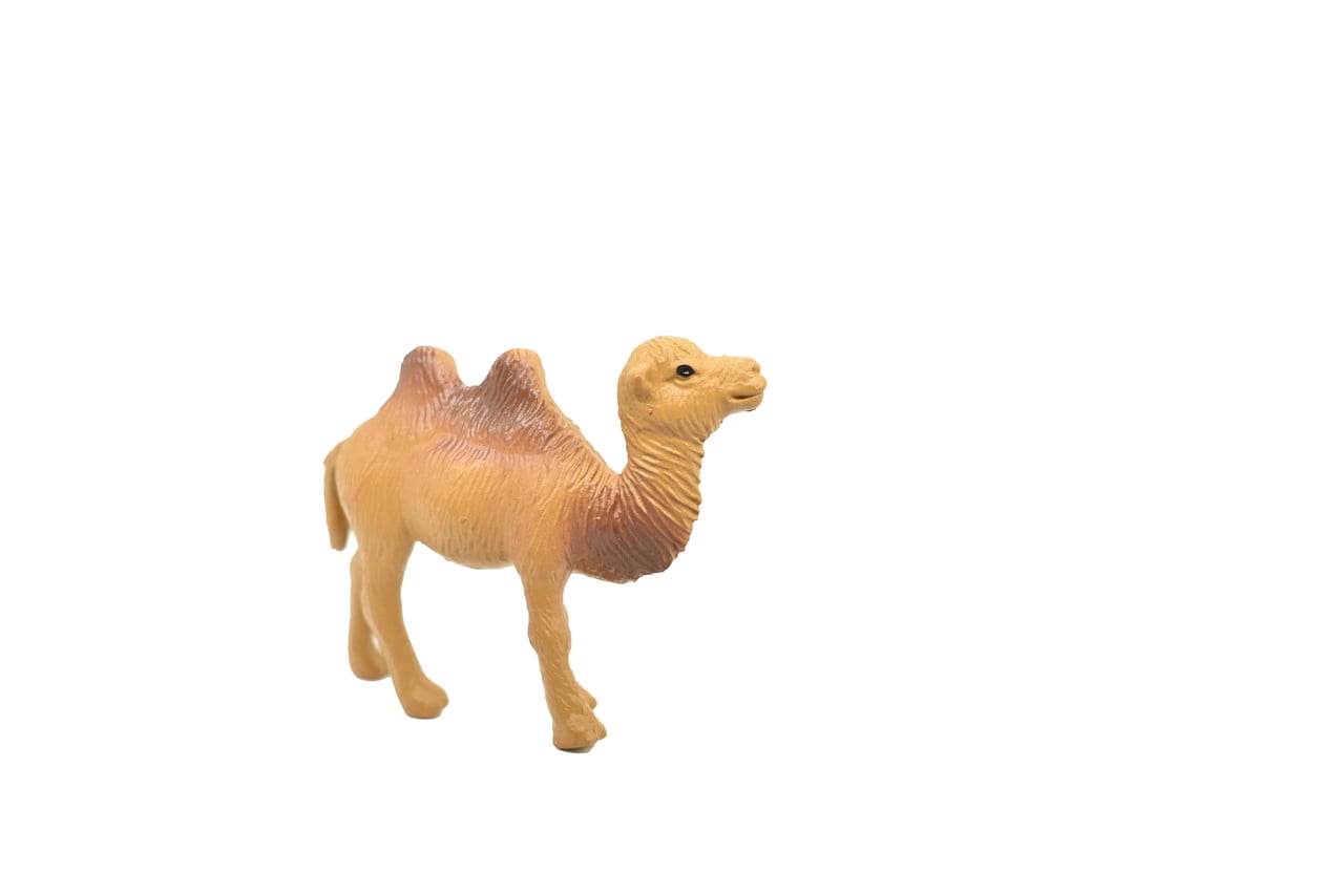 Camel, Bactrian, Plastic Toy Animal, Kids Gift, Realistic Figure ...