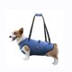 thumbnail image 1 of Arnés para levantamiento de perros Coodeo Support Rehabilitation Sling Blue M, 1 of 8
