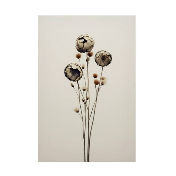 Trademark Fine Art Treechild Canelao Canvas Wall Art