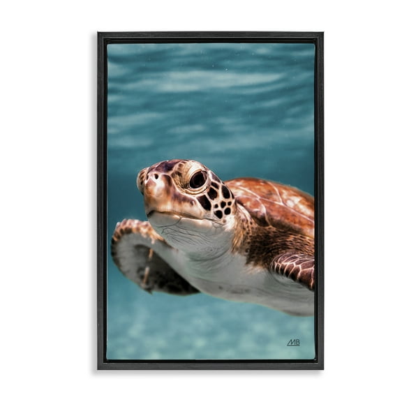 Stupell Industries Underwater Sea Turtle Swim Animals Photography Black Floater Framed Canvas Art Print Wall Art, 17 x 25