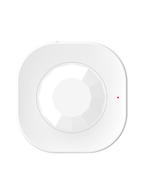 Smart Surveillance Cameras & Motion Detectors that work with Google