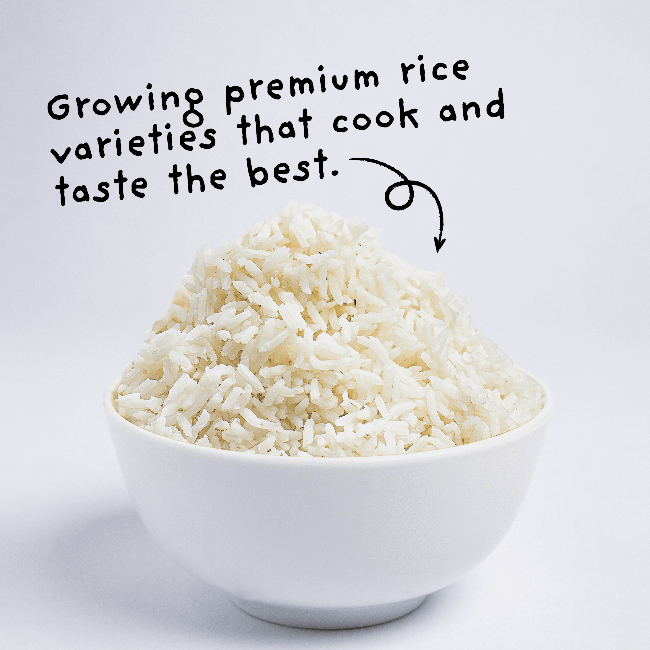 (3 pack) 4Sisters Long Grain Organic White Rice, 32 oz