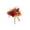 Orange, variant on SLYNSHome Artificial Fall Pumpkin Floral Bouquet,Multicolor Faux Sunflower Maple Berry Flower Stems, Harvest Tabletop Arrangement For Thanksgiving Indoor Home Mantel Decor