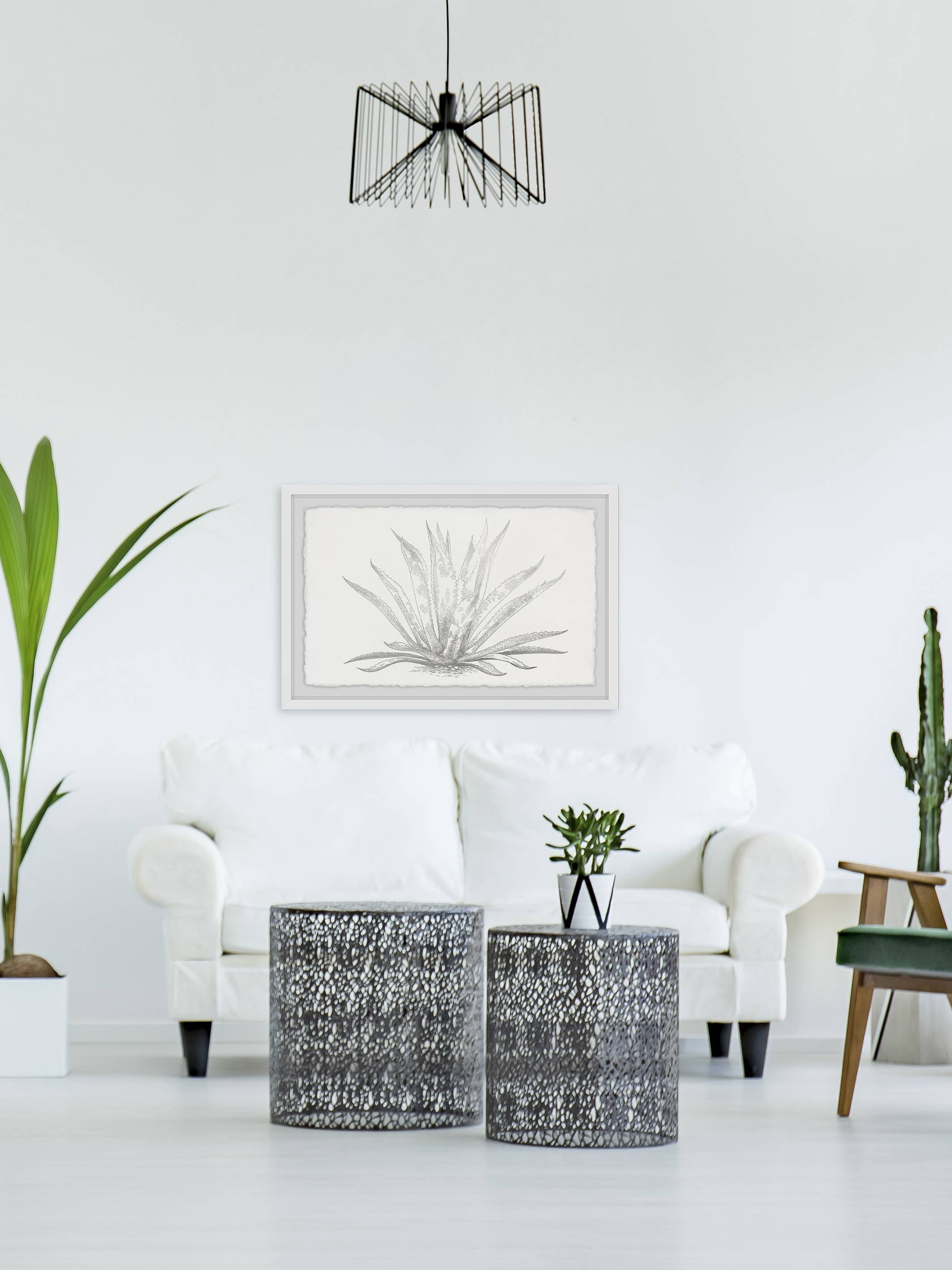 Marmont Hill Agave Desmettiana II Framed Wall Art