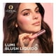 thumbnail image 2 of Rubor L'Oréal worth it glow de 10 ml, 2 of 4
