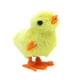 thumbnail image 5 of EeaseMX 12 piezas de juguetes de cuerda, juguete de Pascua, pollos saltarines de cuerda, pollitos de peluche, juguetes de fiesta, juguetes para niños, color aleatorio, 5 of 7