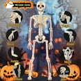 thumbnail image 2 of Yalumo Skeleton Halloween Decorations, 4 Pack 16” Full Body Posable Skeleton with Movable Joints, Small Plastic Skeleton Props for Haunted Houses, Graveyards, Yards, Spooky Party Indoor Outdoor Decor, 2 of 9