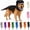Black, variant on Dog Cat Pet Dinosaur Skeleton Costume Soft Plush Dino Outfit,Glow in The Dark Dog Dinosaur Costume Halloween Pet Outfit,Realistic 3D Skeleton Funny Costume for Dogs Big Breeds for Family
