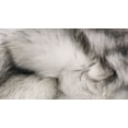 thumbnail image 3 of H-Luxe 2'X3' Gordon Faux Sheepskin Rug, 3 of 4