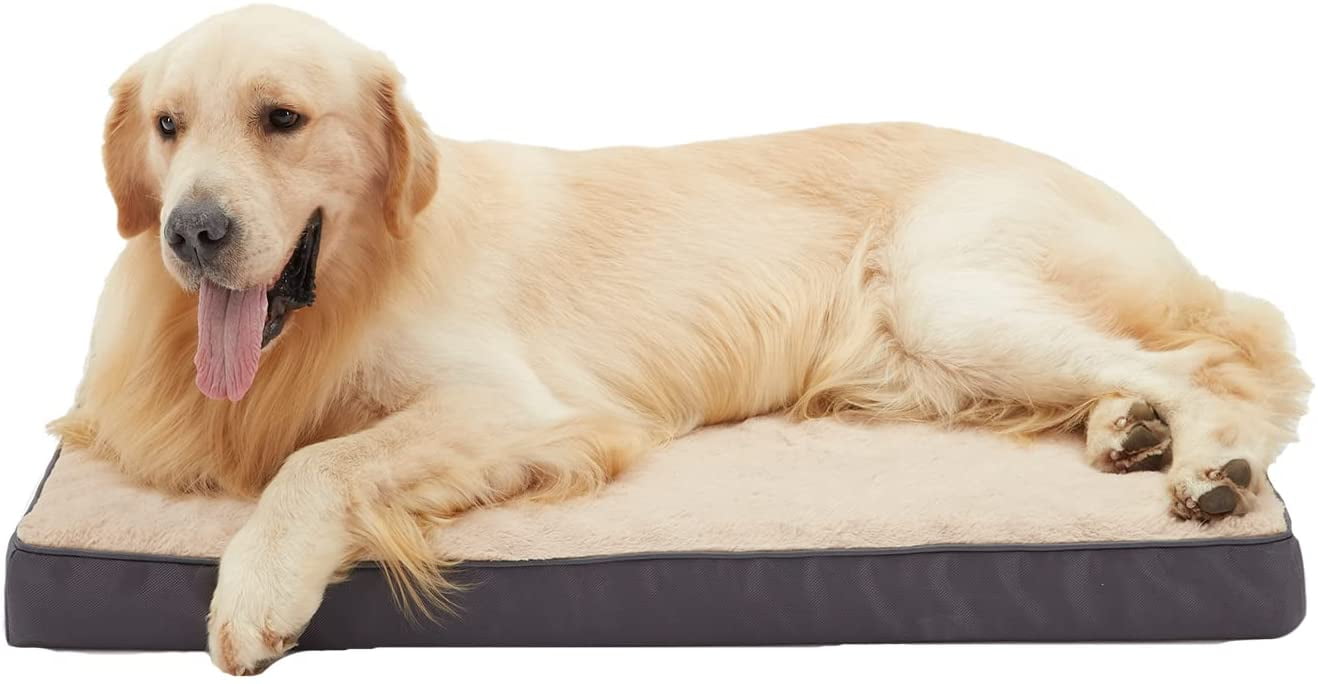best joint supplement for golden retrievers
