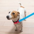 thumbnail image 3 of Correa Para Perro Retro Importadora La Merced Azul Gancho Neón Rosa Mediano Ergonómico Altamente Resistente, 3 of 3