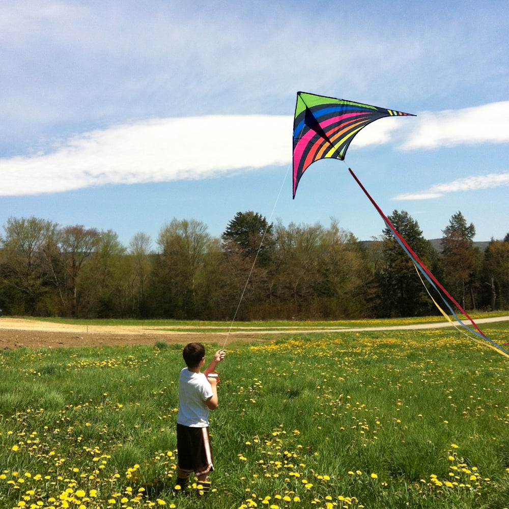 Mint's Colorful Life Delta Kite for Kids & Adults, Polyester Material,  Extremely Easy to Fly 
