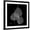 Black Frame, variant on Art.com Xray Bo Tree Art Print by Albert Koetsier, Brown Frame Wall Art, 29" x 29"