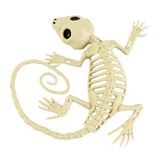 Esqueleto de Halloween Prop Animal Bones Party Shop Decoración Horror Wmkox8yii FHAKJF2597