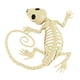 thumbnail image 1 of Esqueleto de Halloween Prop Animal Bones Party Shop Decoración Horror Wmkox8yii FHAKJF2597, 1 of 1