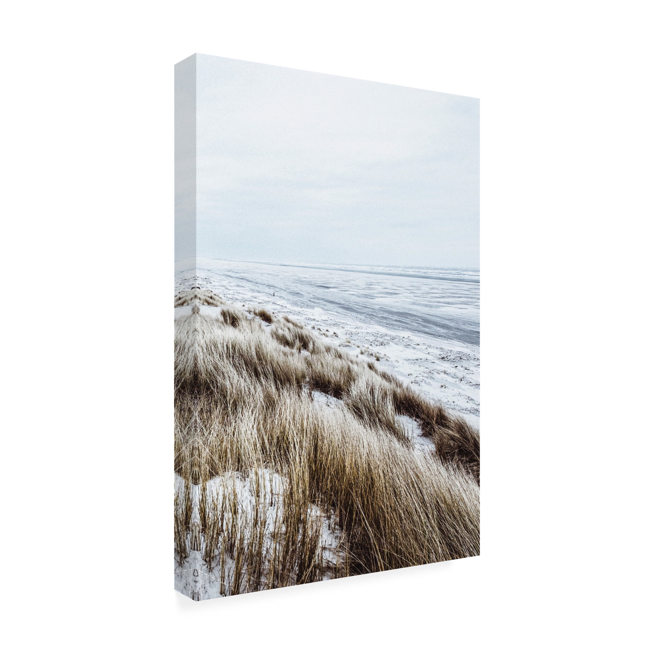 Canvas Wall Art - Incado 'Coastal II' Wall Art for Living Room, Bedroom, or Office Décor by Trademark Fine Art - 16 x 24 Inches