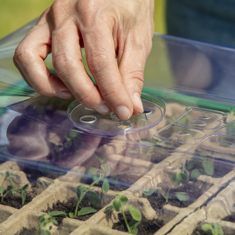 Back to the Roots Germination Kit with 50 Cell Plantable Tray