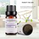 thumbnail image 2 of Aceite de aromaterapia de 10 ml Aceites esenciales puros para difusor de aroma (canción de lluvia) Tmvgtek Para estrenar, 2 of 6
