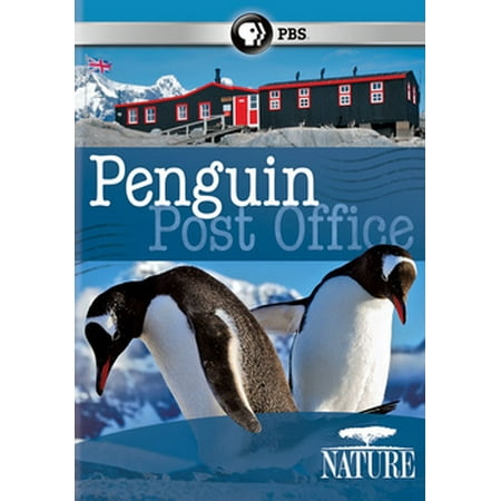 Nature: Penguin Post Office (DVD)