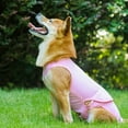 thumbnail image 4 of Recovery Suit for Dogs - Protects Wounds  Sutures  Skin Conditions  Light Incontinence  When in Heat  after Surgery Spay/Neuter, 4 of 6