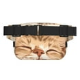 thumbnail image 3 of Balery Sleeping Cat In Blanket Mochila Cinturón para Mujeres y Hombres, Bolsa de Cintura Impermeable de Doble Capa con Correa, 3 of 9