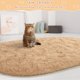 thumbnail image 4 of Alfombra LOCHAS 100x190 cm Beige Suave y Esponjosa Ovalada para Dormitorio, 4 of 7